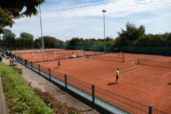 5.-HAGT-46