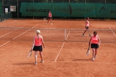 6.-HAGT-204