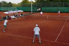 6.-HAGT-37